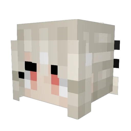 camtheman0524 Minecraft avatar head, 3D render