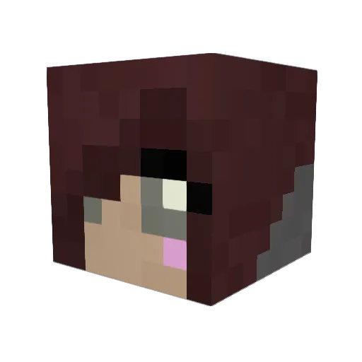 camtheman1026 Minecraft avatar head, 3D render