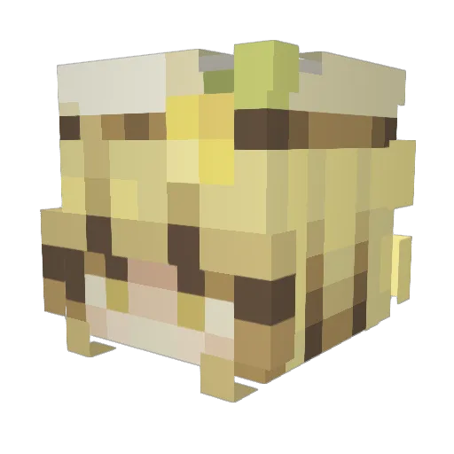 camwemer Minecraft avatar head, 3D render