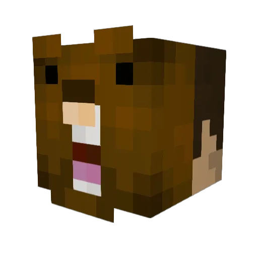 can4 Minecraft avatar head, 3D render