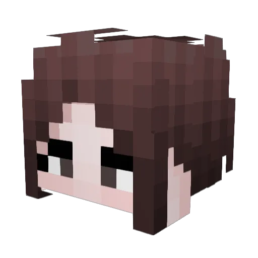canGhaO_ Minecraft avatar head, 3D render