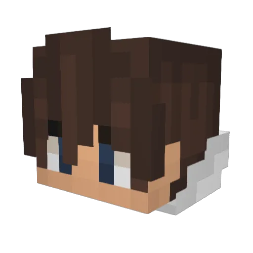 canal63 Minecraft avatar head, 3D render