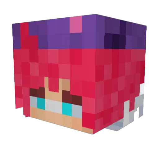 canasianpanda Minecraft avatar head, 3D render