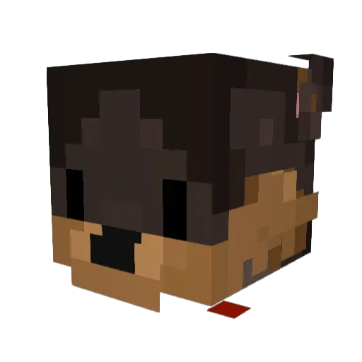canc3r Minecraft avatar head, 3D render