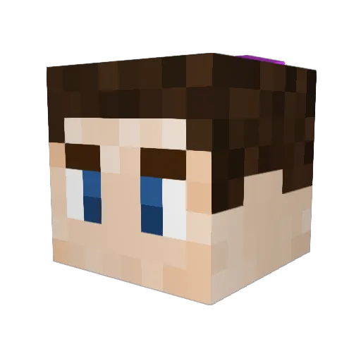 cancelproof Minecraft avatar head, 3D render