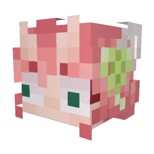 candont Minecraft avatar head, 3D render