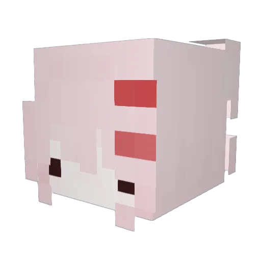 candxxyys Minecraft avatar head, 3D render