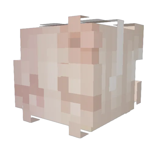 candycotton12 Minecraft avatar head, 3D render