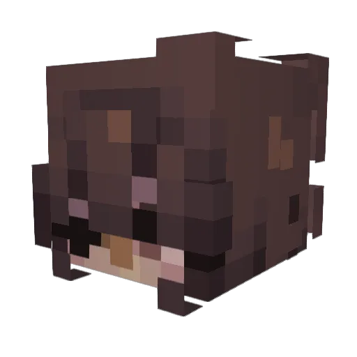 cane_shuga Minecraft avatar head, 3D render
