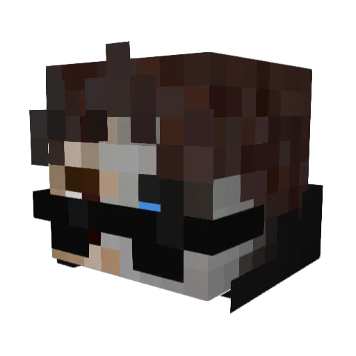 canela11 Minecraft avatar head, 3D render