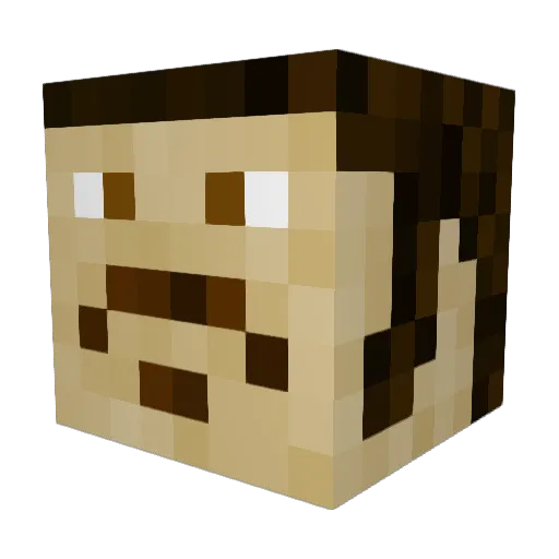 canery0 Minecraft avatar head, 3D render