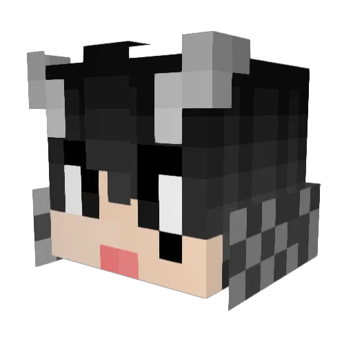 canfly1126 Minecraft avatar head, 3D render