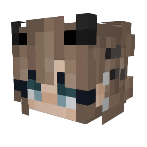 cangolp Minecraft avatar head, 3D render