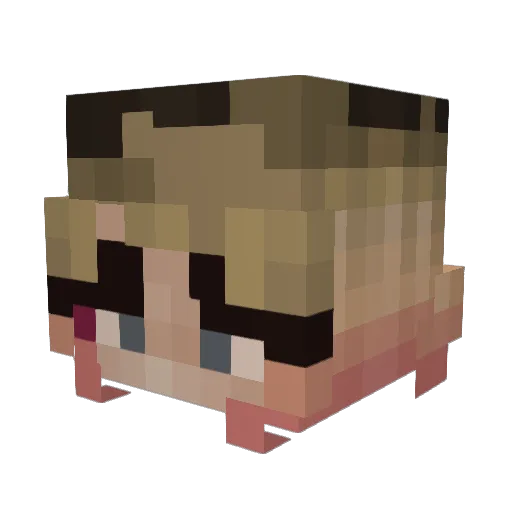 cangregila Minecraft avatar head, 3D render
