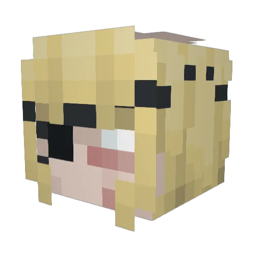 canguvien Minecraft avatar head, 3D render