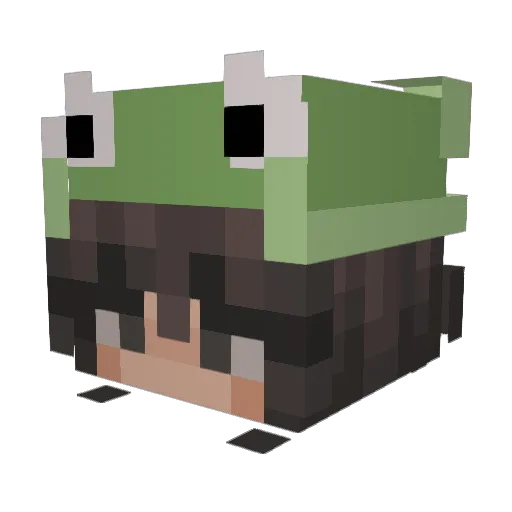 canhita Minecraft avatar head, 3D render