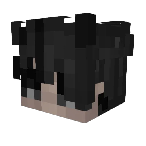 canineteefs Minecraft avatar head, 3D render