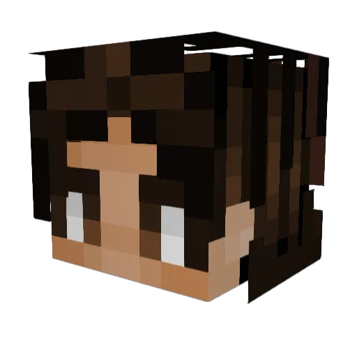 canmau333 Minecraft avatar head, 3D render
