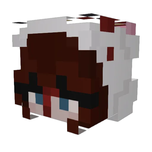 cannedcannibal Minecraft avatar head, 3D render