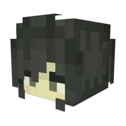 cannedkale Minecraft avatar head, 3D render