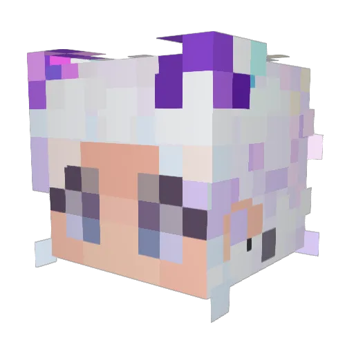 cannedtoast Minecraft avatar head, 3D render