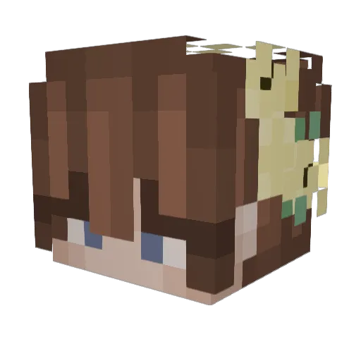 canniheartz Minecraft avatar head, 3D render