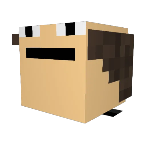 canofkungfu Minecraft avatar head, 3D render