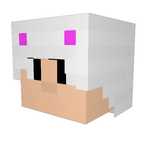 canon1009 Minecraft avatar head, 3D render