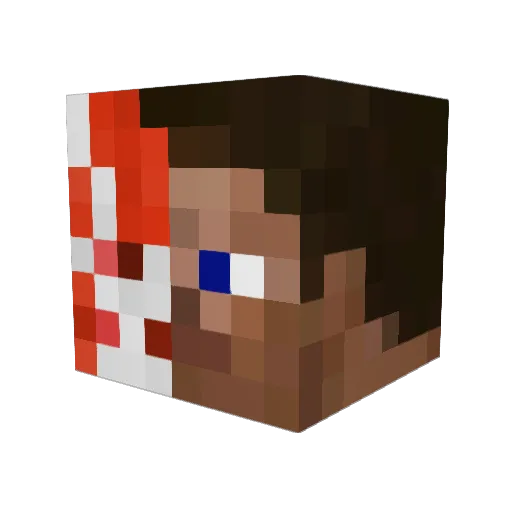 canopy001 Minecraft avatar head, 3D render