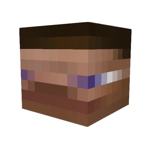 cans1 Minecraft avatar head, 3D render