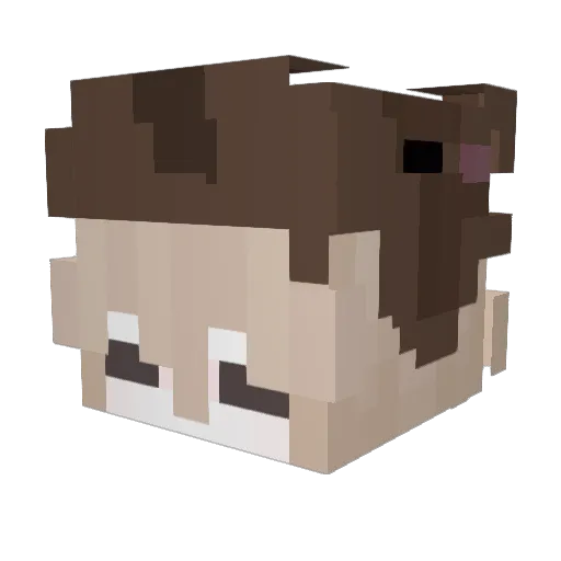 canser_bero321 Minecraft avatar head, 3D render