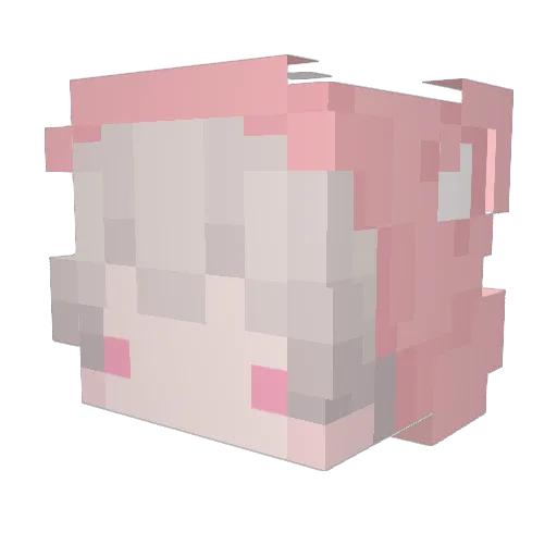 cansol777 Minecraft avatar head, 3D render