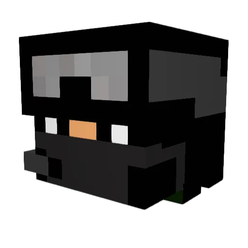 canswins Minecraft avatar head, 3D render