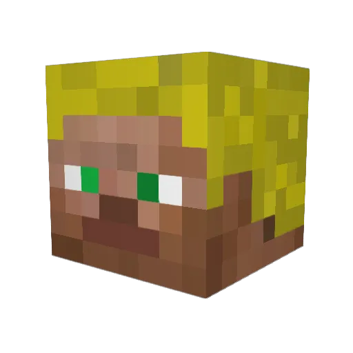 cant1 Minecraft avatar head, 3D render