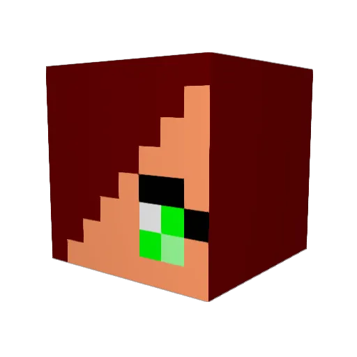 cantina123 Minecraft avatar head, 3D render