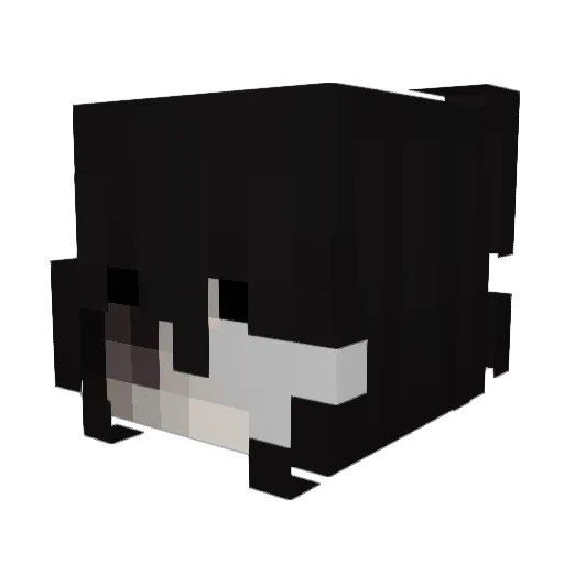canyouseemepleas Minecraft avatar head, 3D render