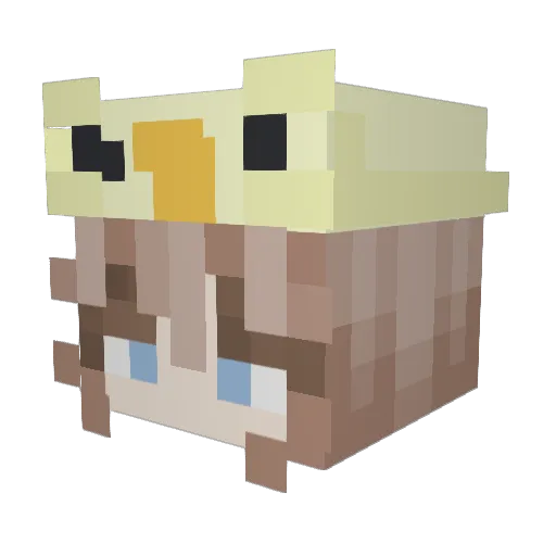cap00leli Minecraft avatar head, 3D render