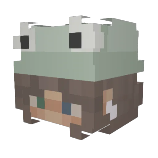 capelluh Minecraft avatar head, 3D render
