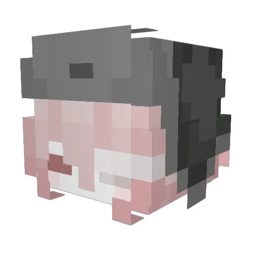 capery Minecraft avatar head, 3D render