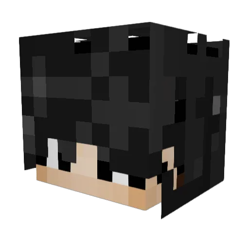 capiluka Minecraft avatar head, 3D render