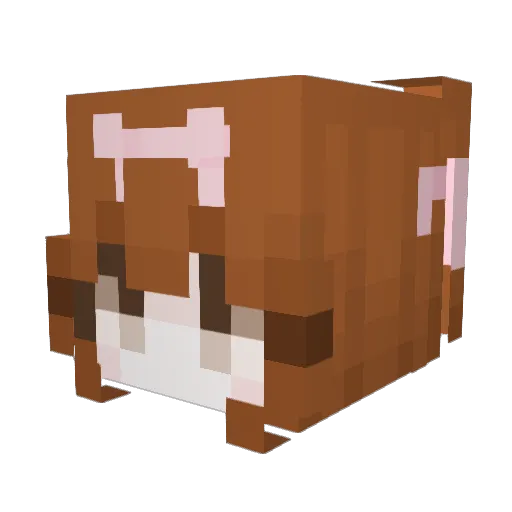 capitameow Minecraft avatar head, 3D render