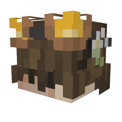 capncrunk Minecraft avatar head, 3D render