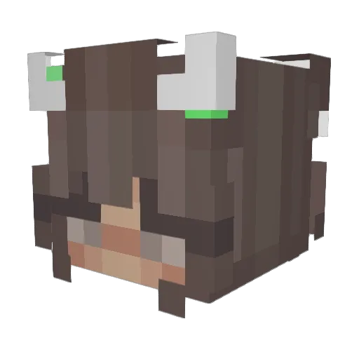 capnw00dy Minecraft avatar head, 3D render