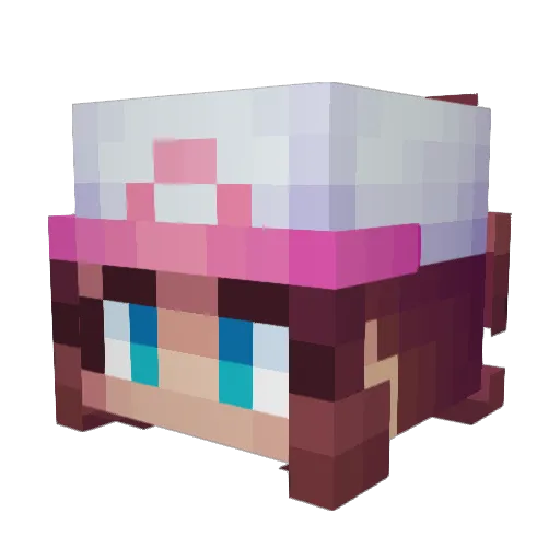 cappofccino Minecraft avatar head, 3D render