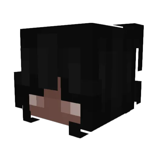 caprisun4u Minecraft avatar head, 3D render