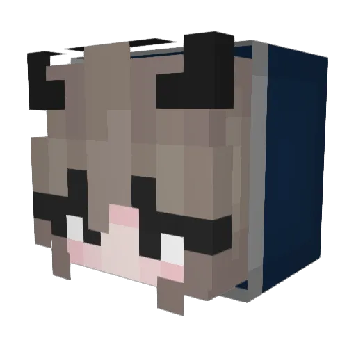 caprisunsly Minecraft avatar head, 3D render