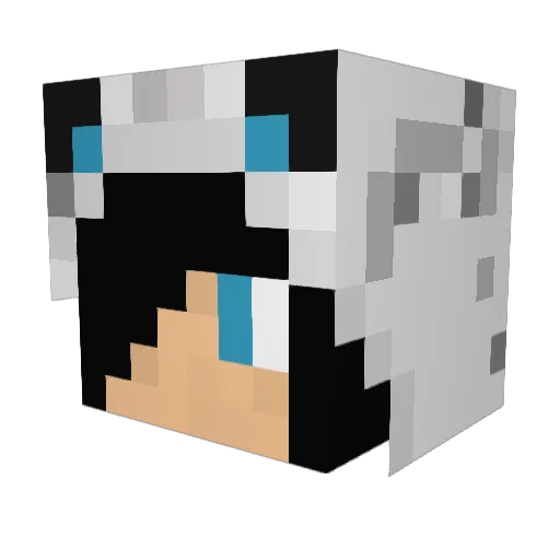 capsule731 Minecraft avatar head, 3D render