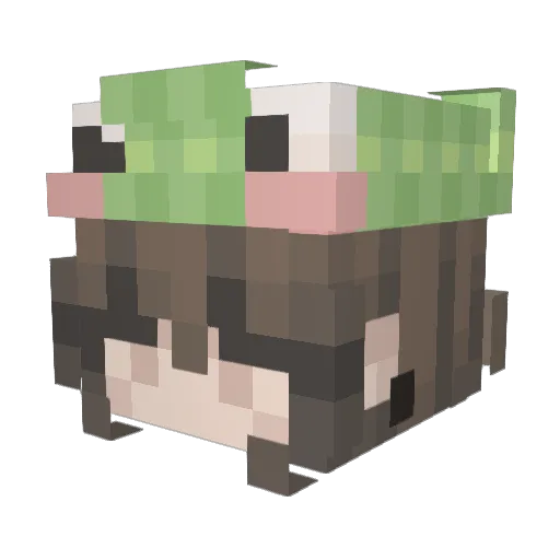 capt0re Minecraft avatar head, 3D render