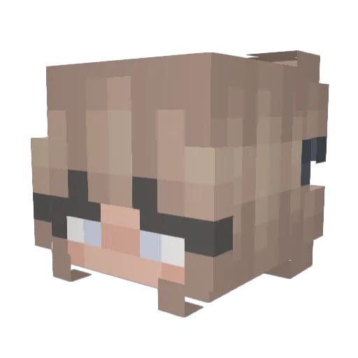 captain_kitty14 Minecraft avatar head, 3D render