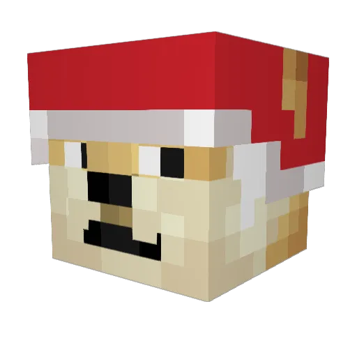 captain_pika747 Minecraft avatar head, 3D render